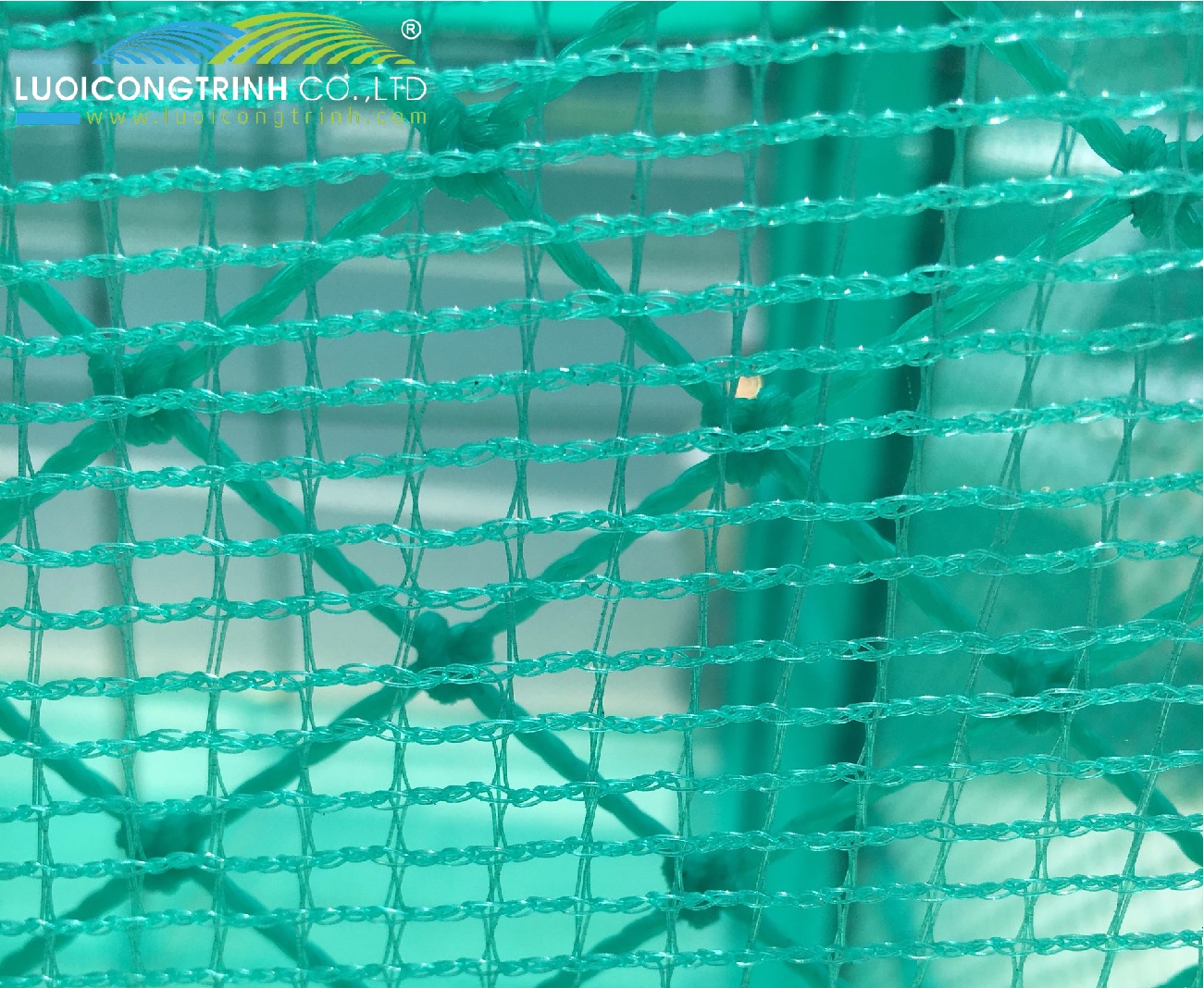 Lưới cước ô vuông 3mm, 5mm
